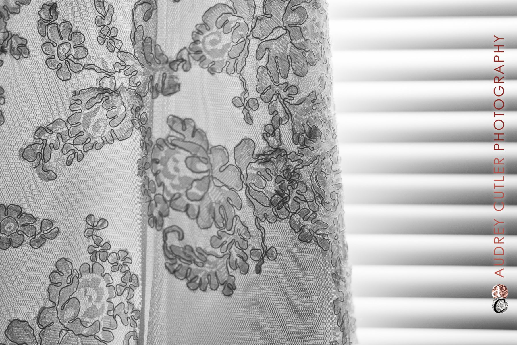 © Audrey Cutler Photography - David's Bridal Wedding Dress