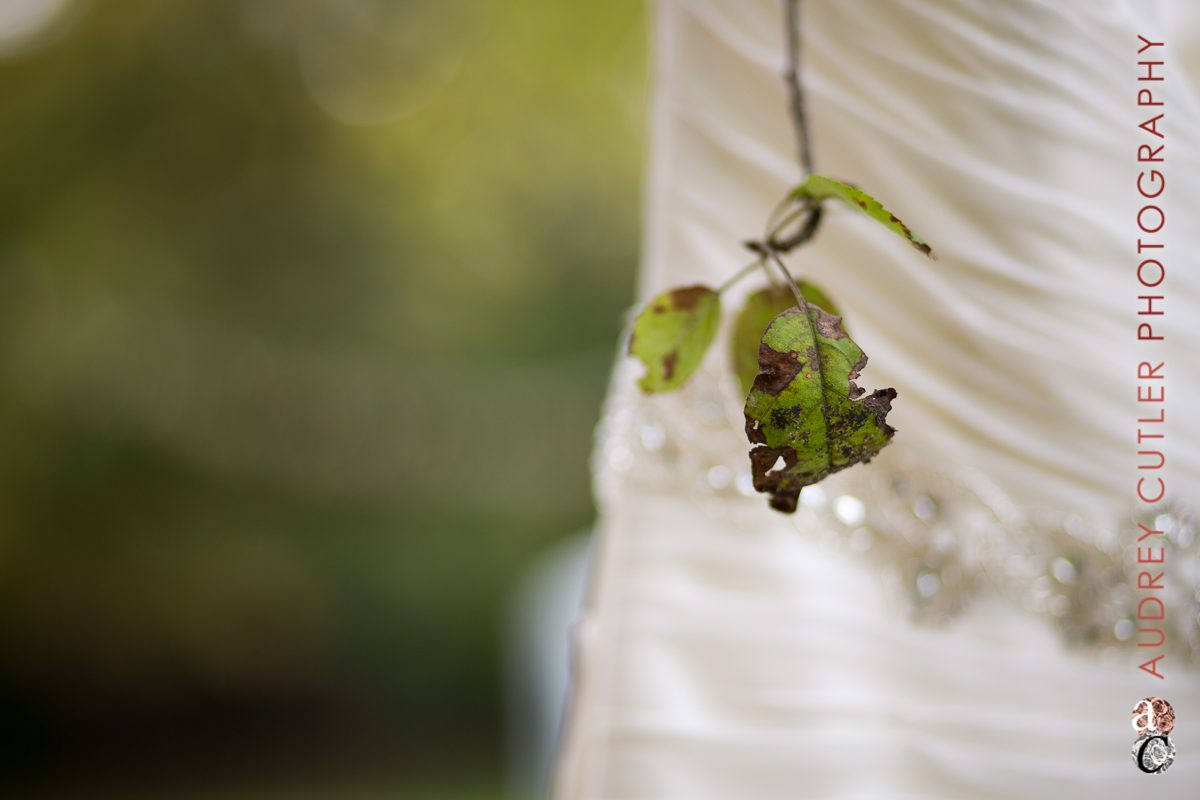 Backyard Wedding - Central Massachusetts Wedding Photographer - © Audrey Cutler Photography
