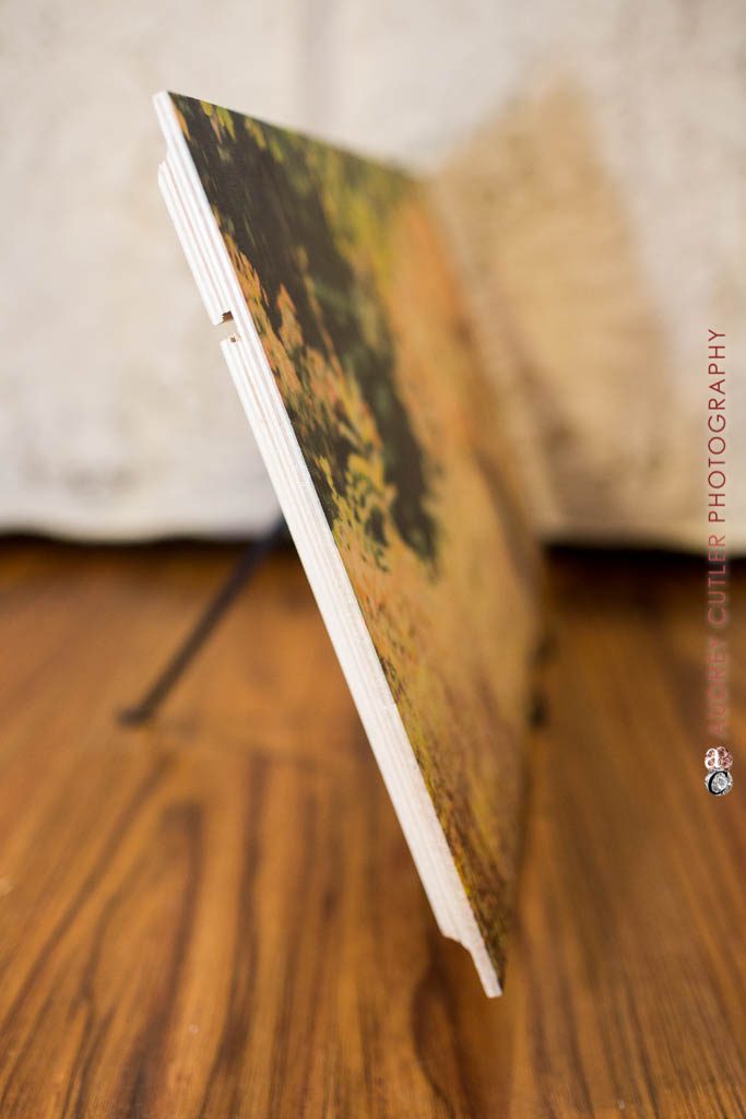 Prints on Wood  - New Products © Audrey Cutler Photography