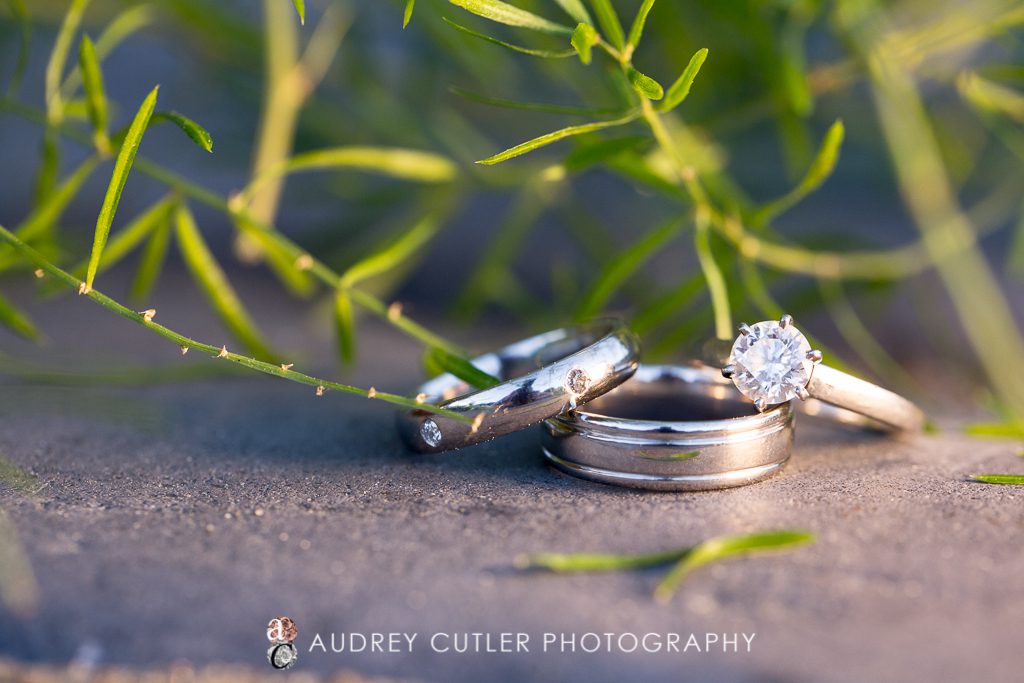 Gorgeous Ring Shot at Wachusett Mountain Wedding