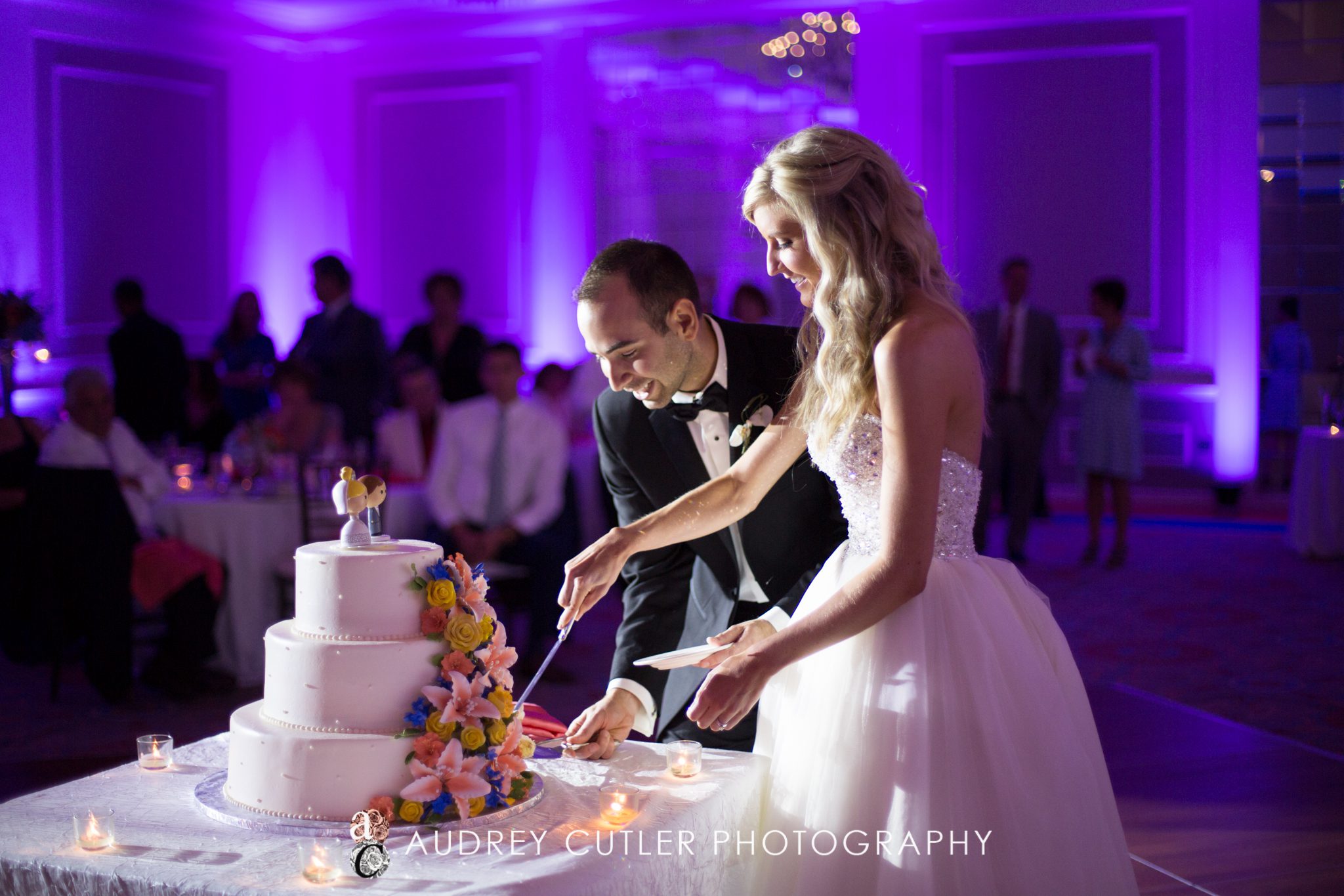 Elegant Framingham Sheraton Wedding_  Vibrant Greek Wedding