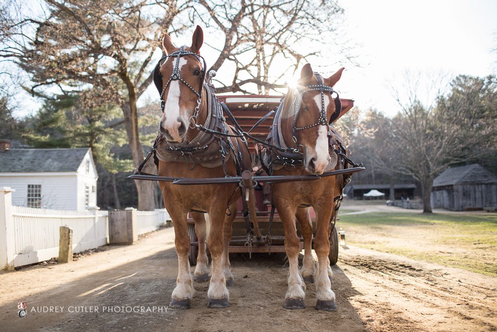 Old_Sturbridge_Village_Wedding_horse_carry_all