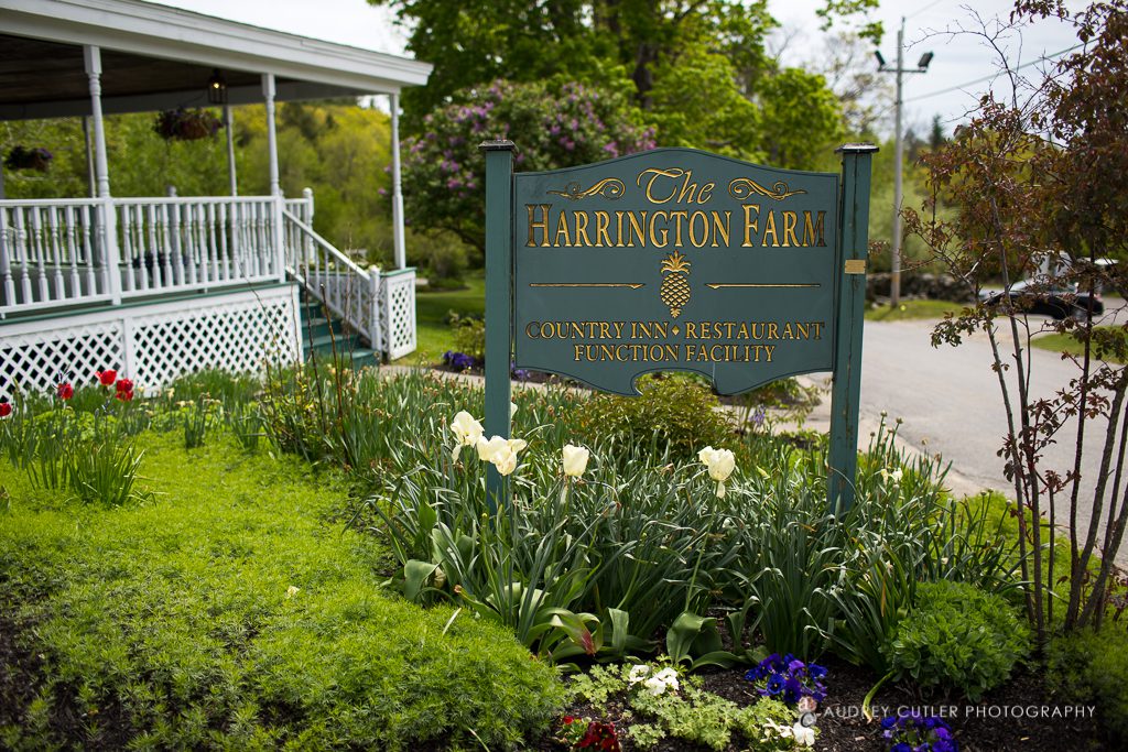 Harrington_Farm_spring_wedding-2