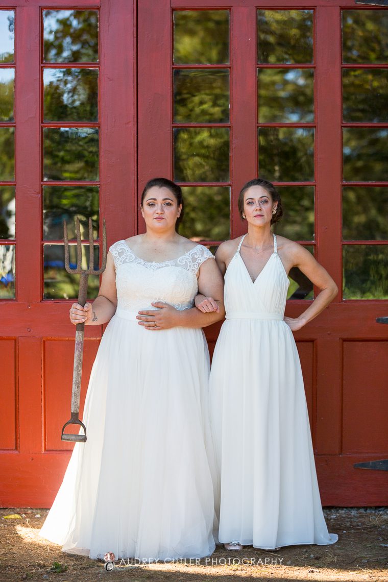 Massachusetts-back-yard-wedding-37