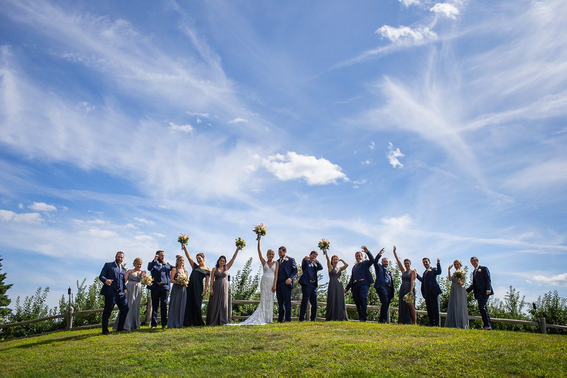 bridal-party-on-a green-hill-big-blue-sky-smolak-farms-wedding