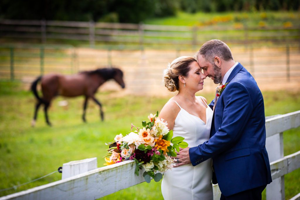 oakholm-farm-estate-horses-wedding-1