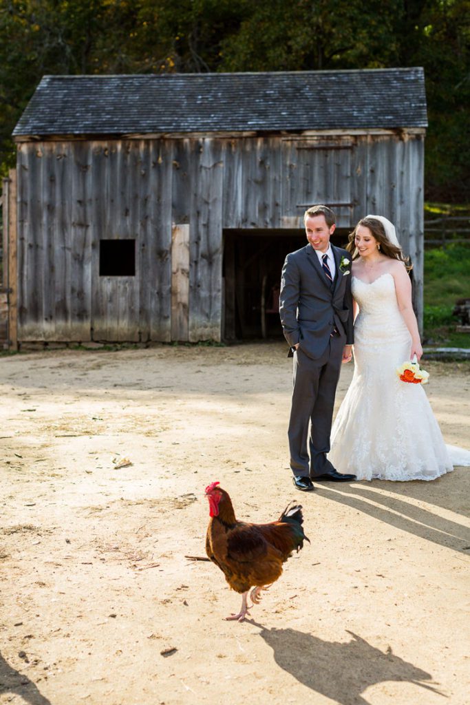 audrey-cutler-photography-bride-groom-with-rooster-osv