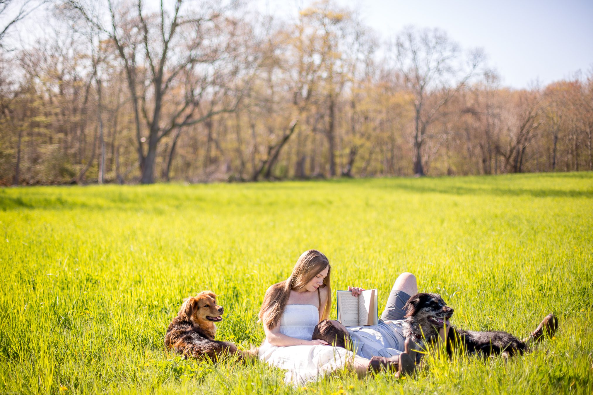 couple-reading-and-laying-with-dogs-picnic-engagement-session-idea