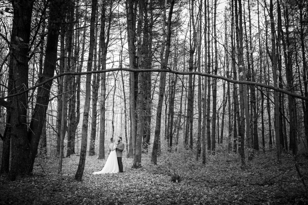 bride-groom-in-forest-the-ultimate-wedding-planning-guide