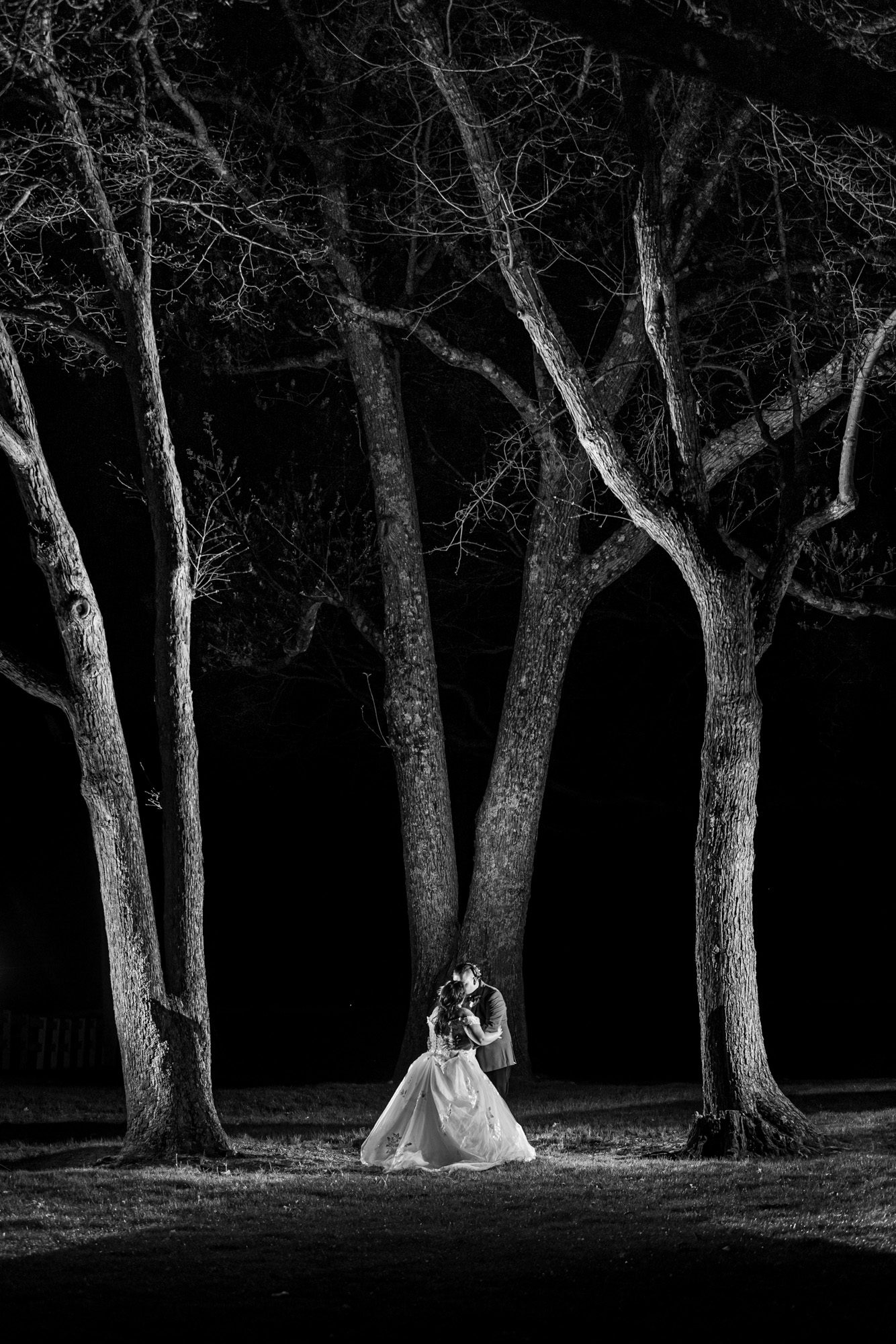 Dramatically lit black and whit photos of wedding couple under massive oak trees at wrights farm in rhode island photographer