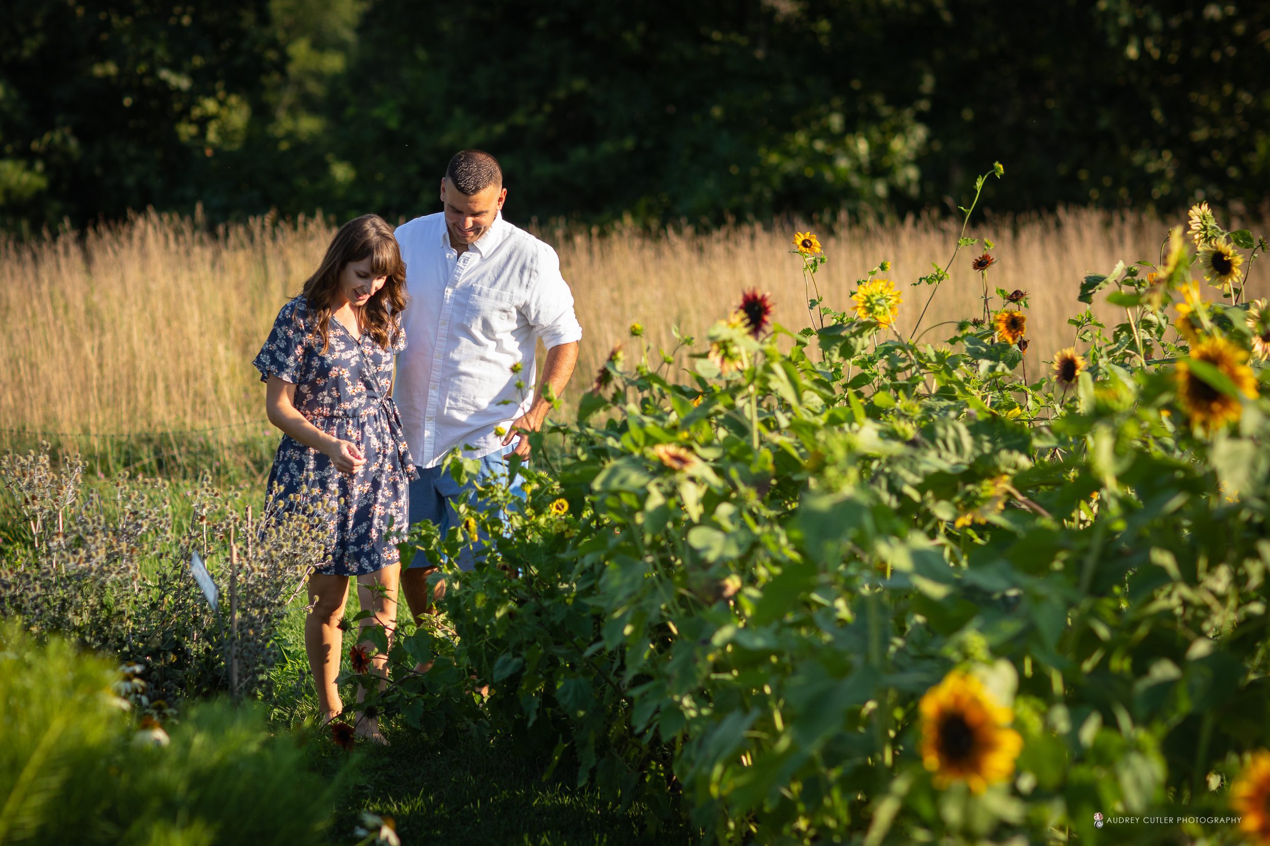 couple walking through field of sunflowers during golden hour